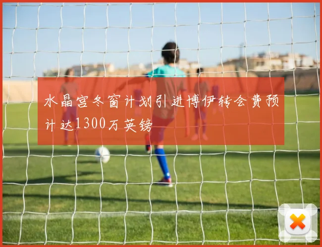 水晶宫冬窗计划引进博伊转会费预计达1300万英镑
